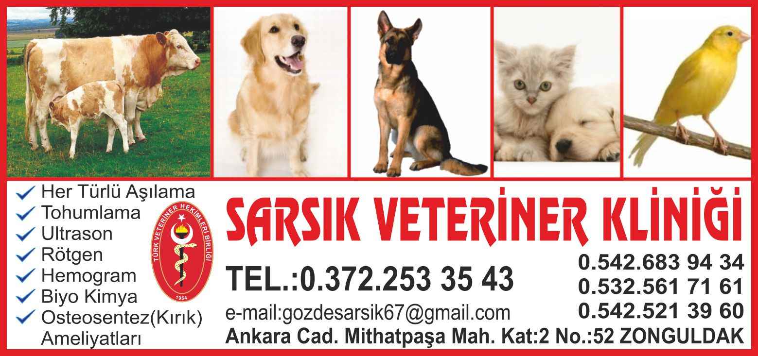Sarsık Veteriner Kliniği Zonguldak